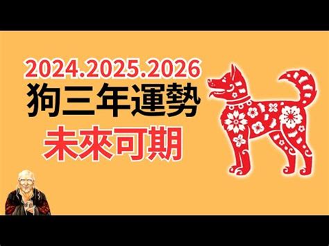 1982屬狗幸運數字|1982年屬狗是什麼命，1982年出生人的命運